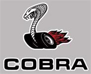 1970 Torino Cobra Lh Snake